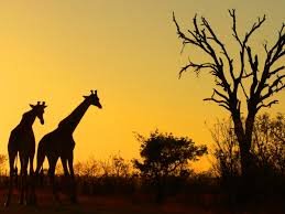 SOUTH AFRICA